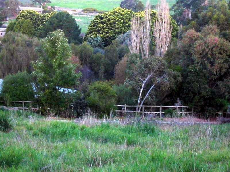 Lot 41 Michelmore Drive, Meadows SA 5201