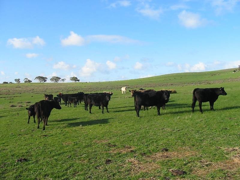 Sec 2035 off Adelaide Place, Currency Creek SA 5214
