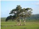 Sec 2035 off Adelaide Place, Currency Creek SA 5214