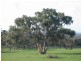 Sec 2035 off Adelaide Place, Currency Creek SA 5214