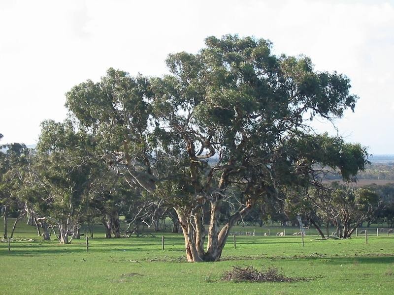 Sec 2035 off Adelaide Place, Currency Creek SA 5214