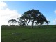 Sec 2035 off Adelaide Place, Currency Creek SA 5214