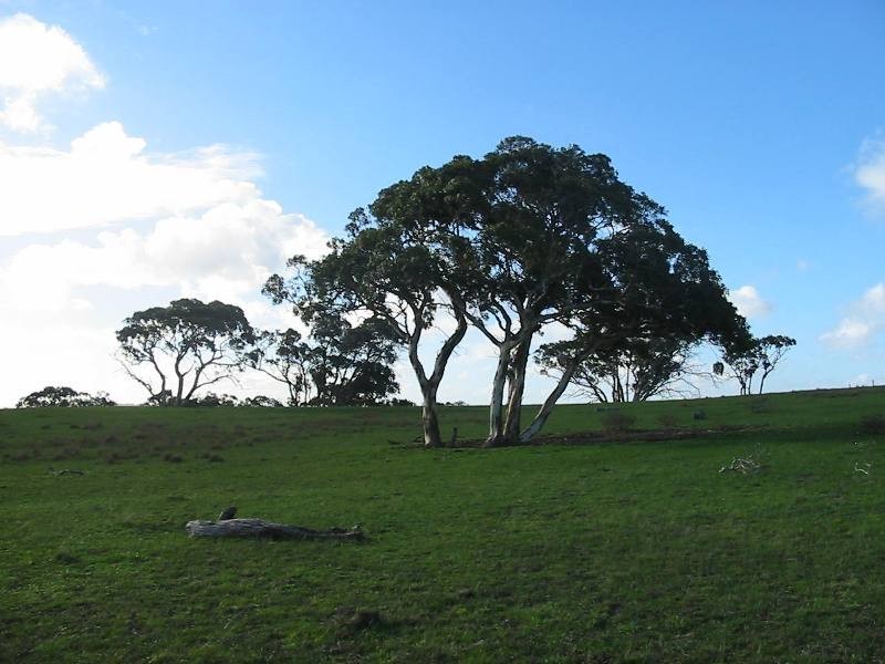 Sec 2035 off Adelaide Place, Currency Creek SA 5214
