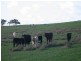 Sec 2035 off Adelaide Place, Currency Creek SA 5214