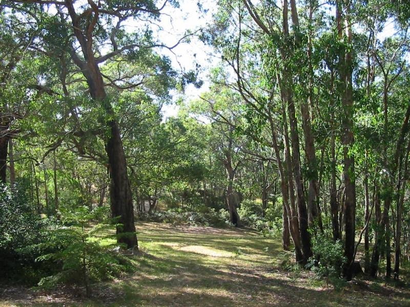 Lot 51 Milligan Road, Prospect Hill SA 5201