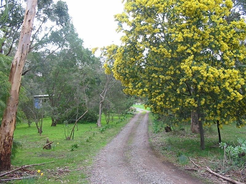 Lot 51 Milligan Road, Prospect Hill SA 5201