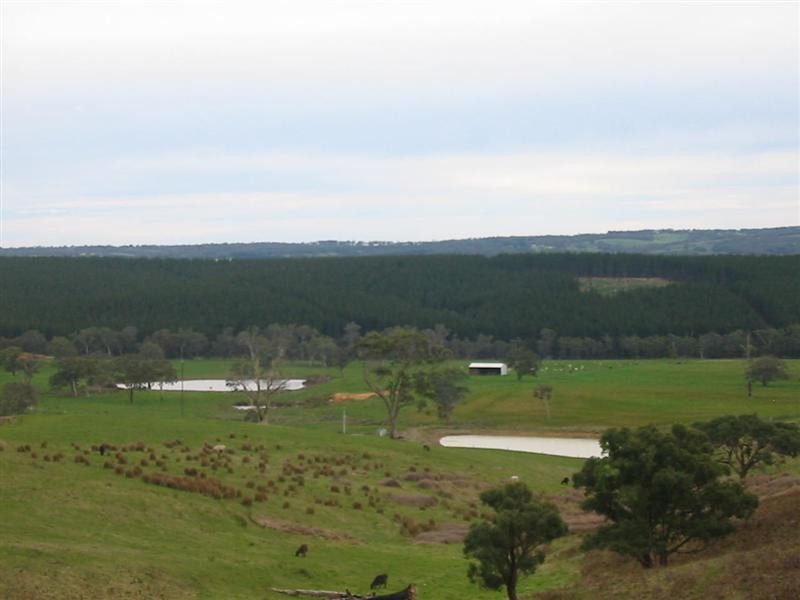 Lot 51 Milligan Road, Prospect Hill SA 5201