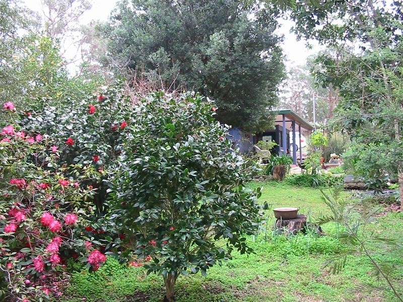 Lot 51 Milligan Road, Prospect Hill SA 5201