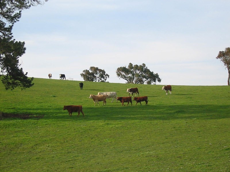 Section 39 Paris Creek Road, Paris Creek SA 5201