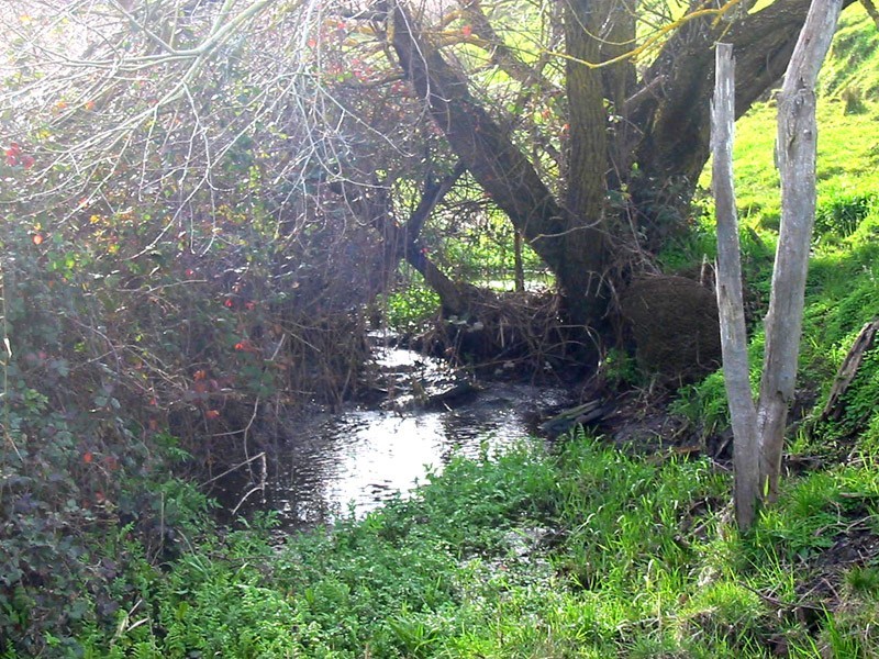 Section 39 Paris Creek Road, Paris Creek SA 5201