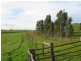 Section 39 Paris Creek Road, Paris Creek SA 5201