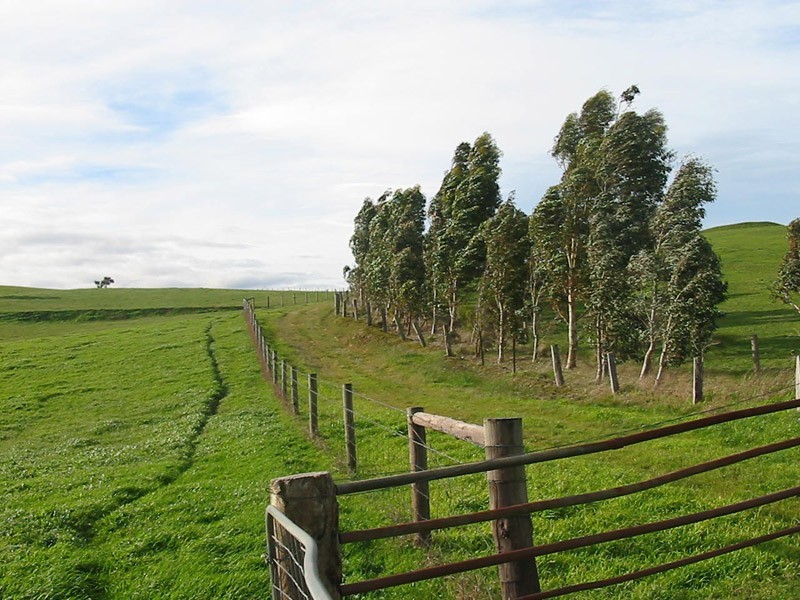 Section 39 Paris Creek Road, Paris Creek SA 5201