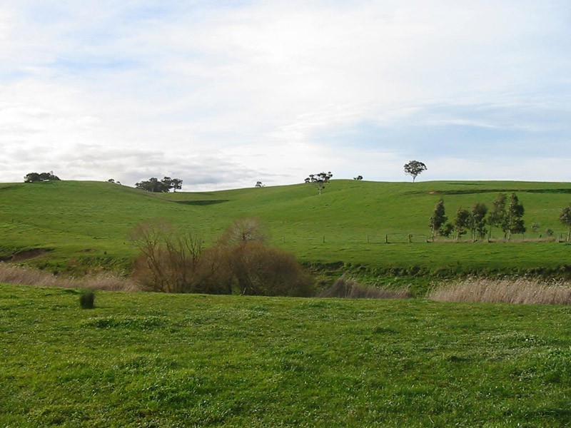 Section 39 Paris Creek Road, Paris Creek SA 5201