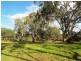 Lot 53 Henry Martin Road, Ashbourne SA 5157