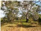 Lot 53 Henry Martin Road, Ashbourne SA 5157