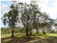 Lot 53 Henry Martin Road, Ashbourne SA 5157