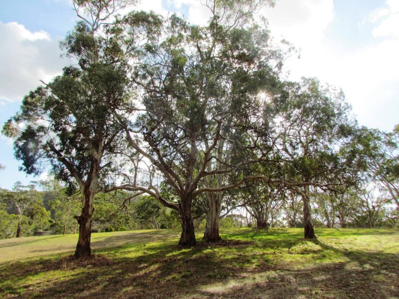 Lot 53 Henry Martin Road, Ashbourne SA 5157