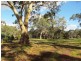 Lot 53 Henry Martin Road, Ashbourne SA 5157