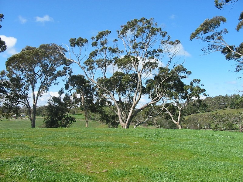 Lot 123 Marianna Street, Echunga SA 5153