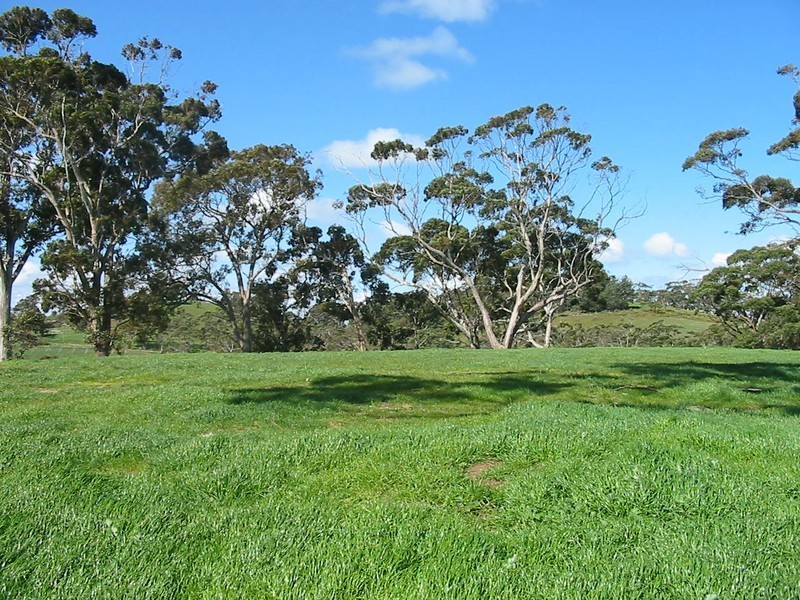 Lot 123 Marianna Street, Echunga SA 5153