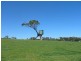 Lot 124 Old Mount Barker Road, Echunga SA 5153