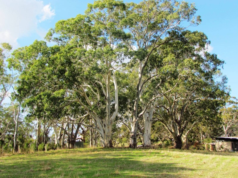 Lot 52 Henry Martin Road, Ashbourne SA 5157