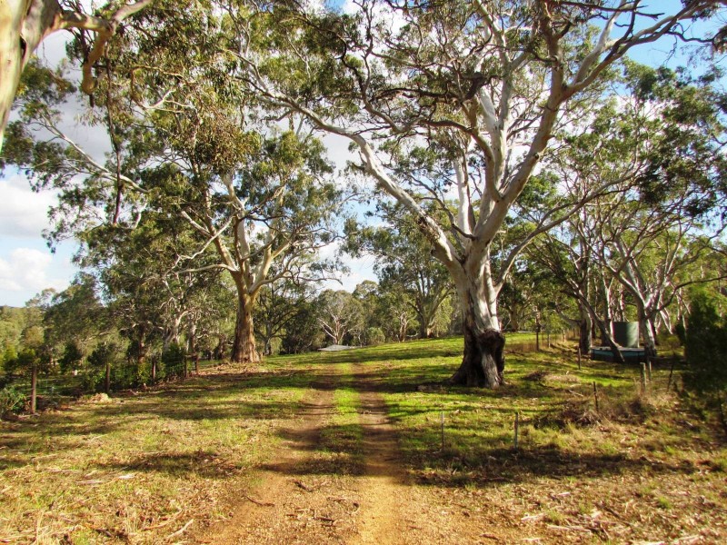 Lot 52 Henry Martin Road, Ashbourne SA 5157