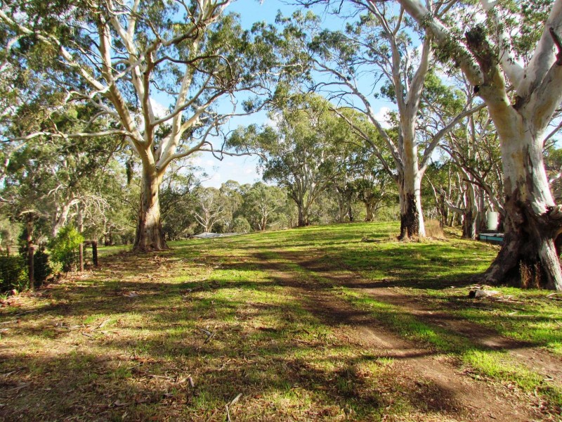 Lot 52 Henry Martin Road, Ashbourne SA 5157