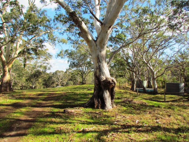 Lot 52 Henry Martin Road, Ashbourne SA 5157