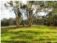 Lot 52 Henry Martin Road, Ashbourne SA 5157