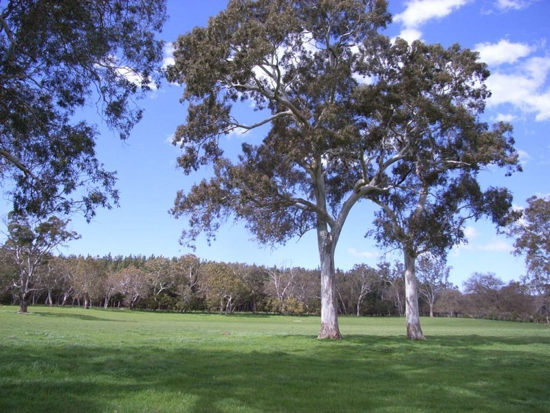 Lot 502 Brookman Road, Kuitpo SA 5172