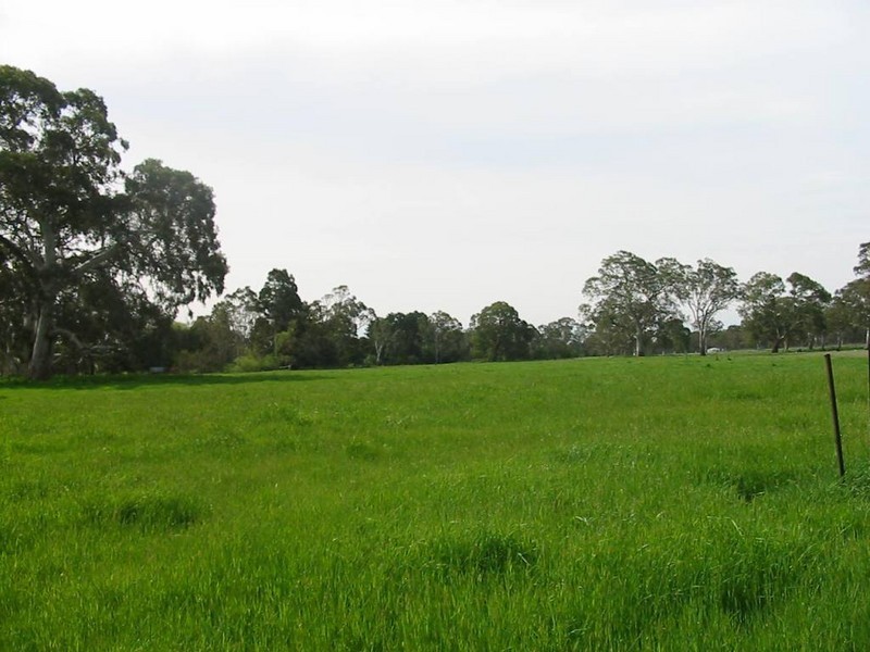 Lot 235 Brookman Road, Meadows SA 5201