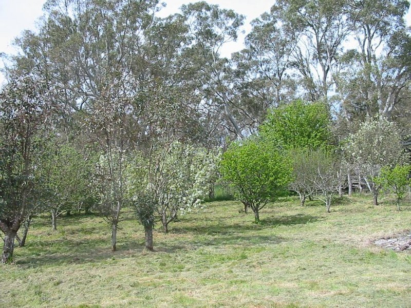 Lot 235 Brookman Road, Meadows SA 5201