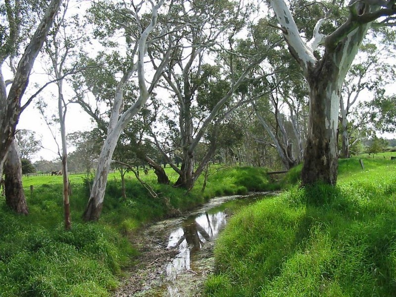 Lot 235 Brookman Road, Meadows SA 5201
