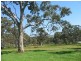 Lot 101 Henry Martin Road, Ashbourne SA 5157