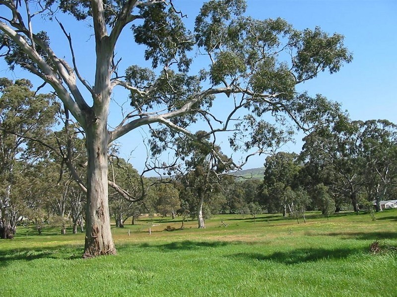 Lot 101 Henry Martin Road, Ashbourne SA 5157