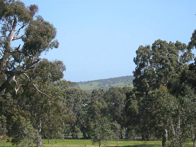 Lot 101 Henry Martin Road, Ashbourne SA 5157