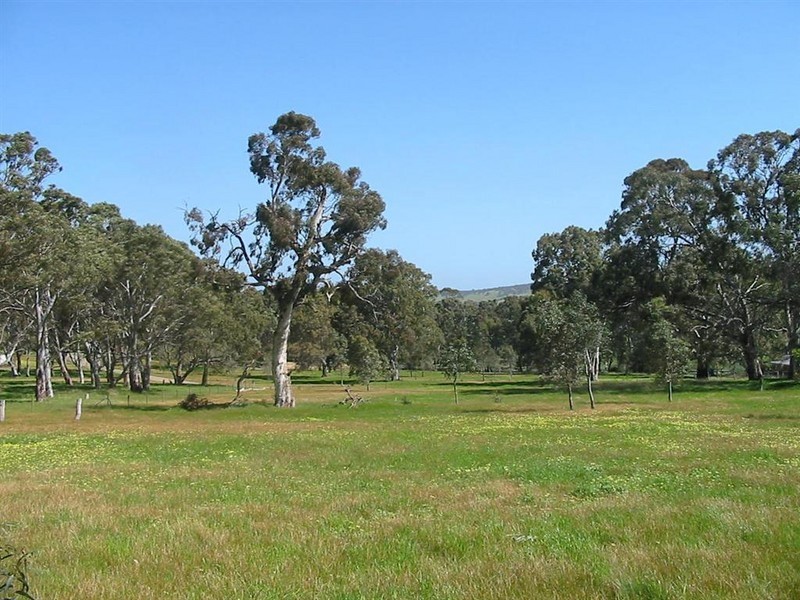 Lot 101 Henry Martin Road, Ashbourne SA 5157