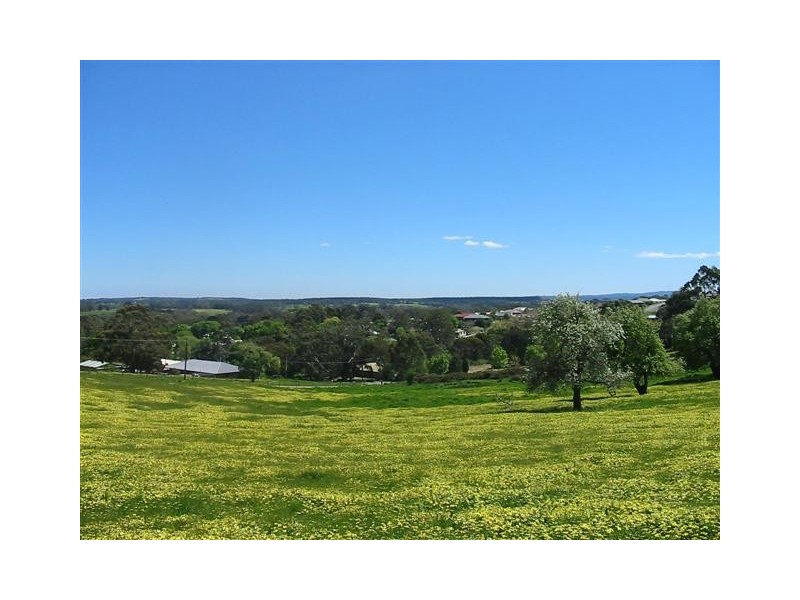 Lot 50 Mill Street, Meadows SA 5201