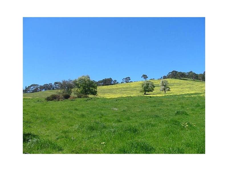 Lot 50 Mill Street, Meadows SA 5201