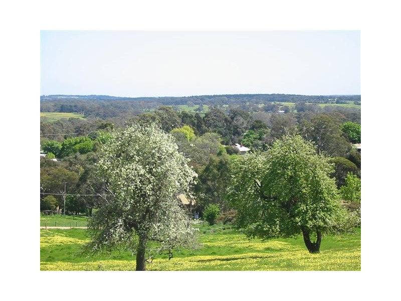 Lot 50 Mill Street, Meadows SA 5201