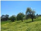 Lot 50 Mill Street, Meadows SA 5201