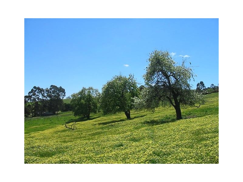 Lot 50 Mill Street, Meadows SA 5201