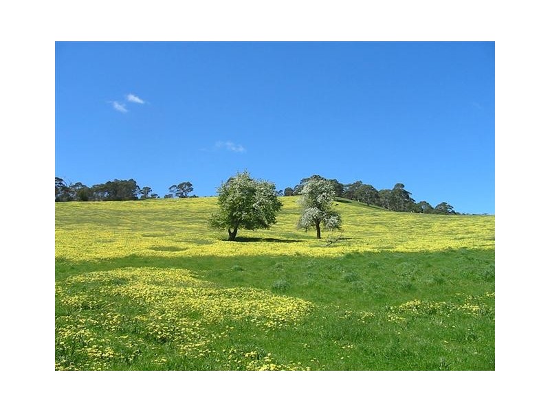 Lot 50 Mill Street, Meadows SA 5201