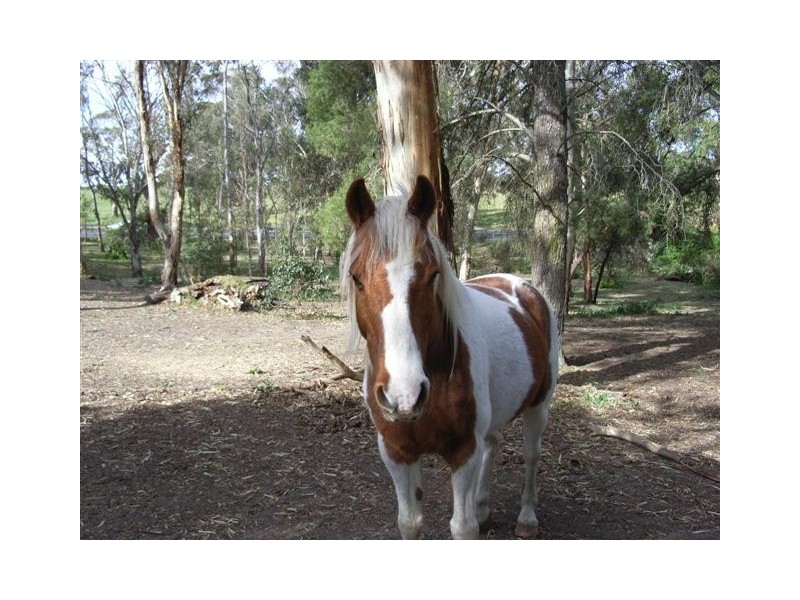 Lot 4 Sand Road, Kangarilla SA 5157