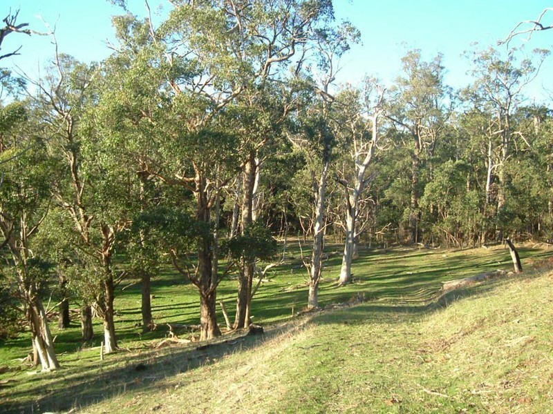 Lot 1 Milligan Road, Prospect Hill SA 5201