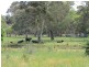 22 Laurel Road, Meadows SA 5201