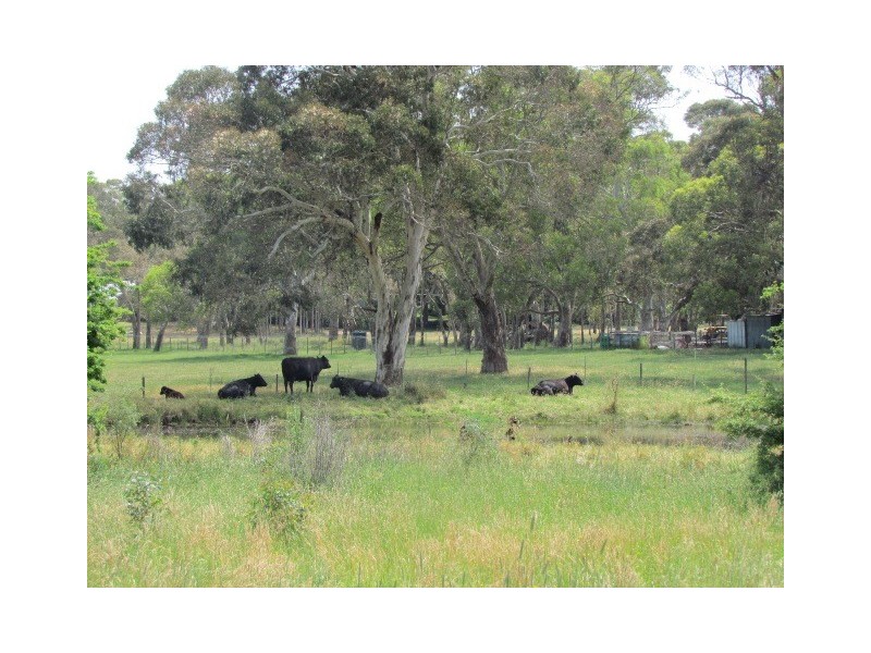 22 Laurel Road, Meadows SA 5201