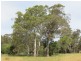 22 Laurel Road, Meadows SA 5201