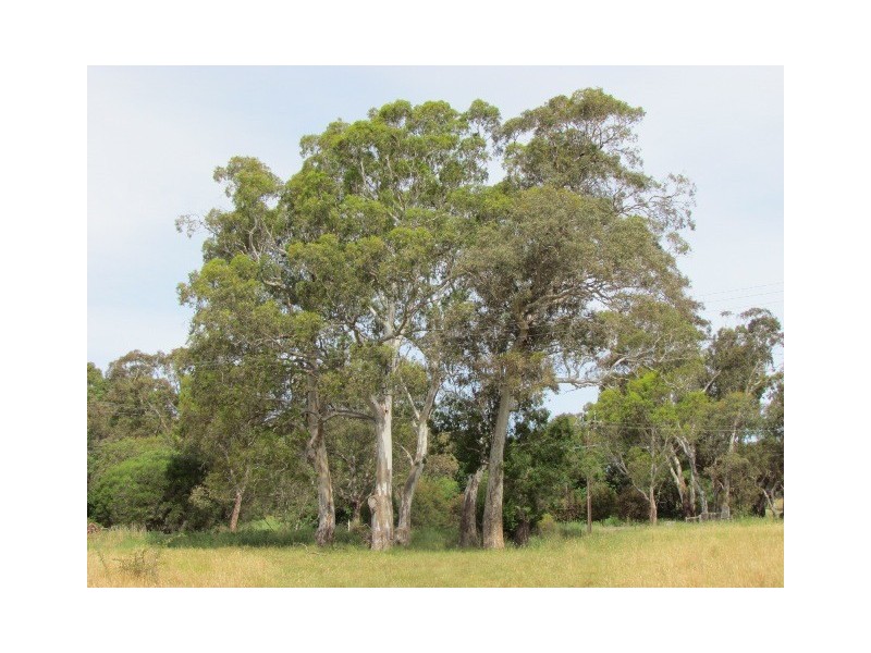 22 Laurel Road, Meadows SA 5201